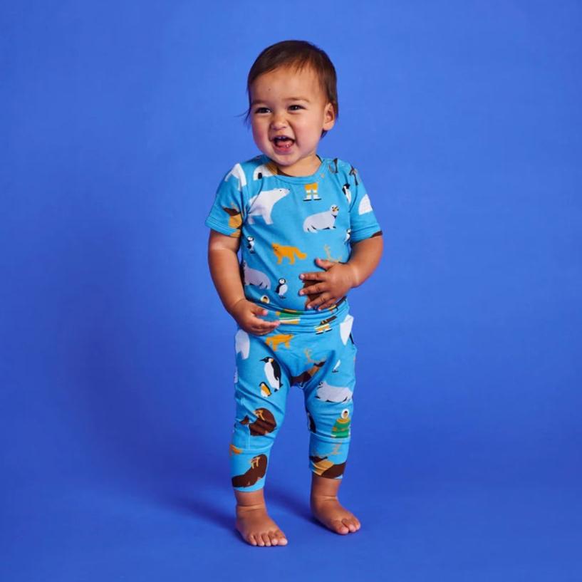Arctic Circle Organic Short Sleeve Romper