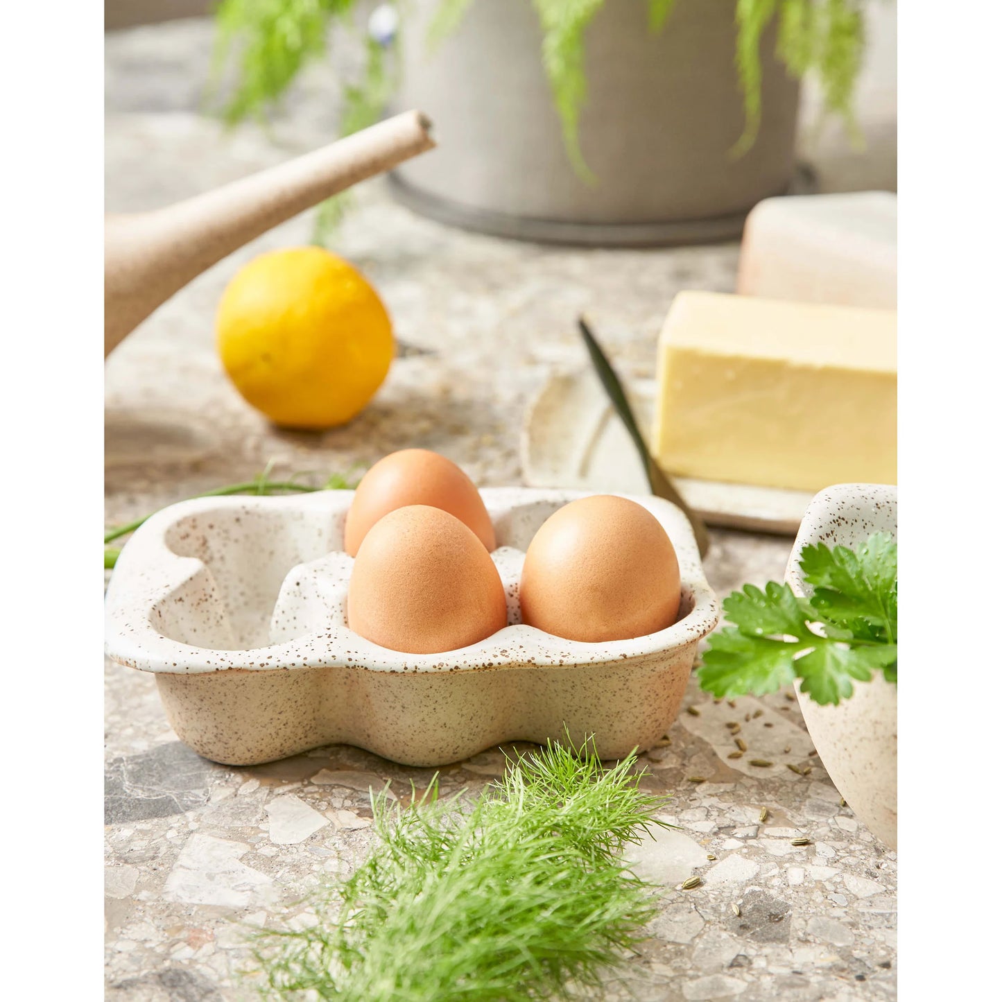 Garden to Table Egg Crate - Holds 6