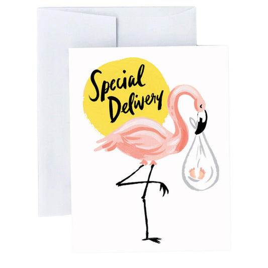 Flamingo Stork Special Delivery Greeting Card