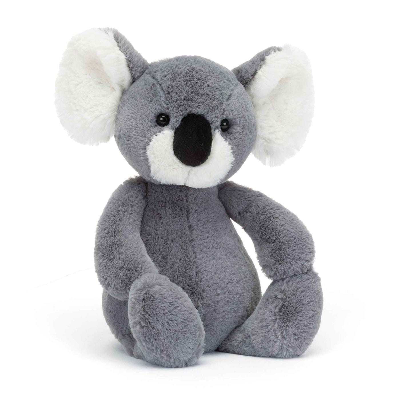 Bashful Koala - Medium